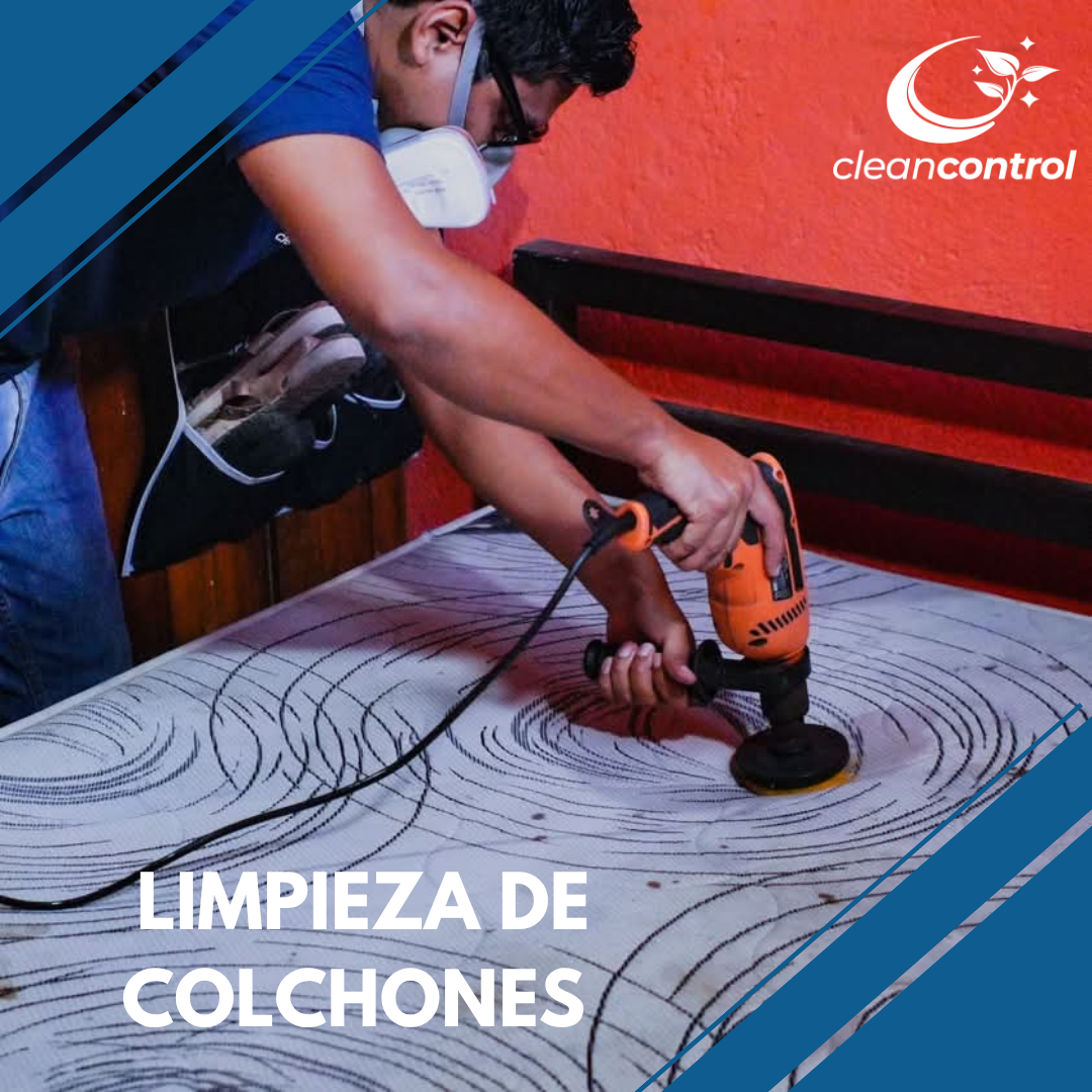 Trabajo de Clean Control